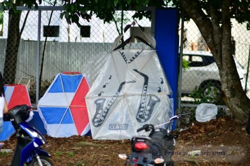 Festival de chichiguas de julio pichardo 2026_00028