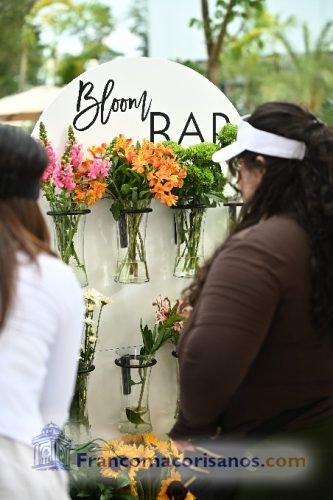 RPDERMAPADEL202600029